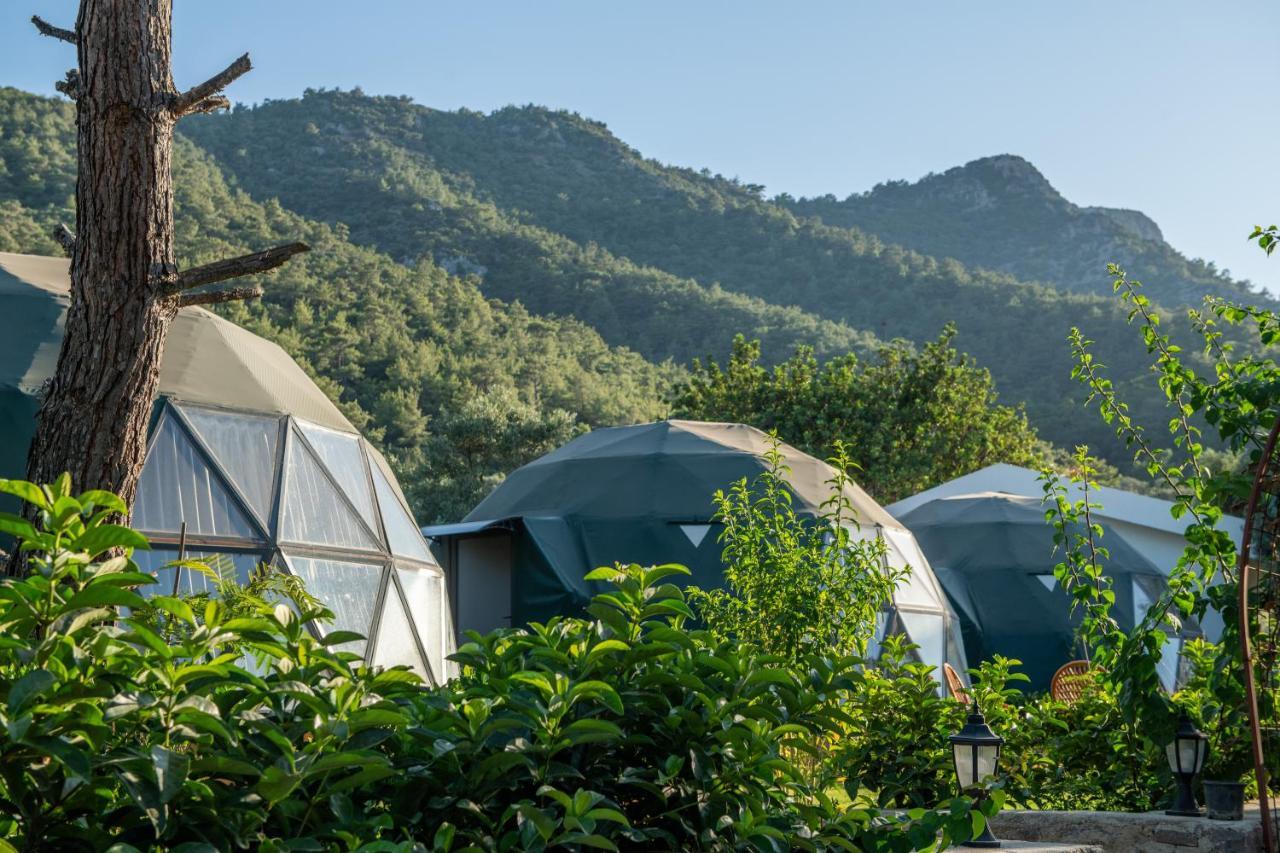 Hotel Lusso Glamping Bodrum Exteriér fotografie